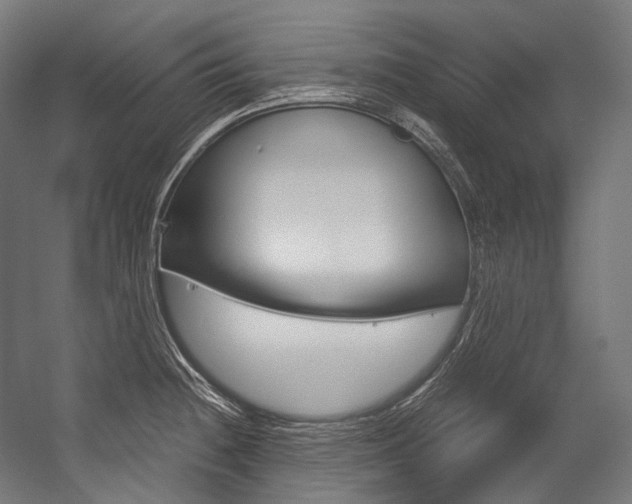 X0000054471236200507291039