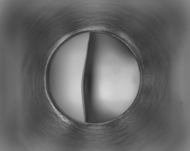 X0000054471237200507291039