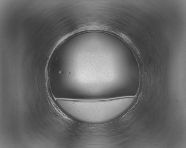 X0000054471238200507291039