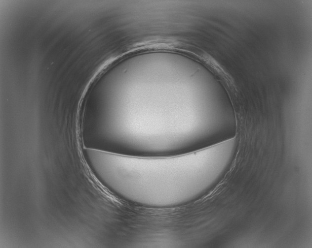 X0000054471240200507291039