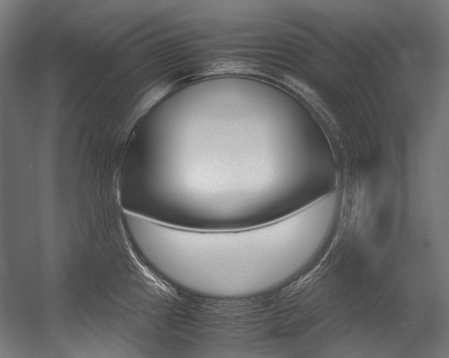 X0000054471241200507291039