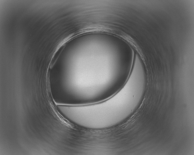 X0000054471242200507291039