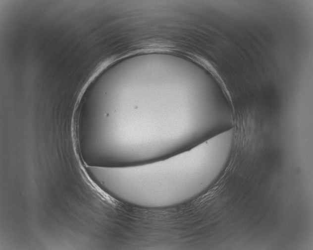 X0000054471243200507291039