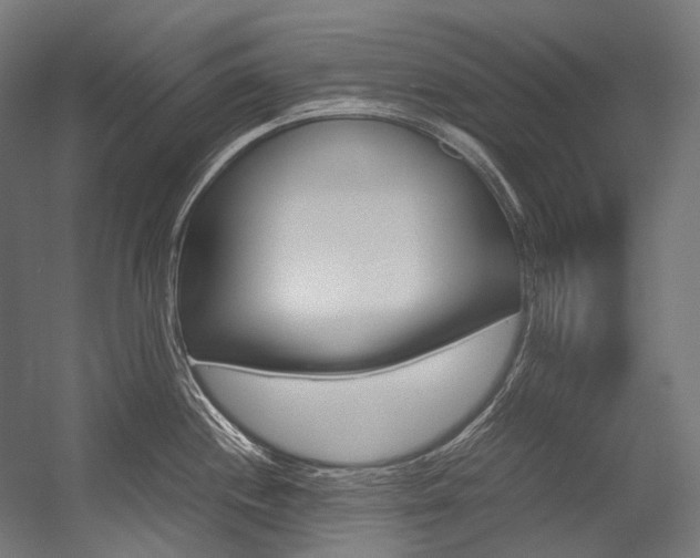 X0000054471244200507291039