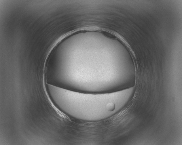 X0000054471245200507291039