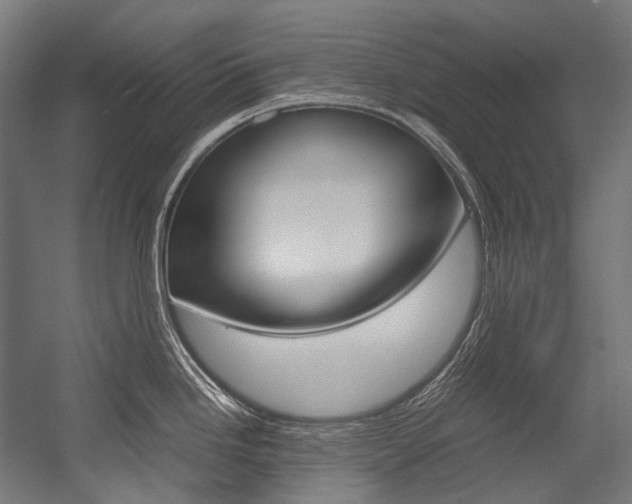 X0000054471246200507291039