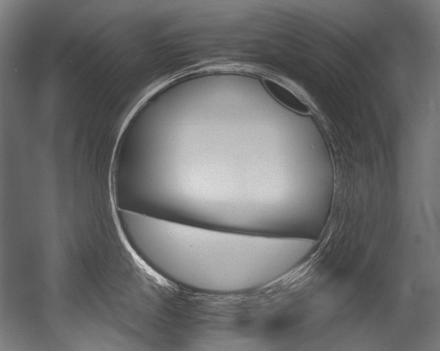 X0000054471247200507291039