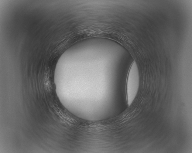 X0000054471250200507291038