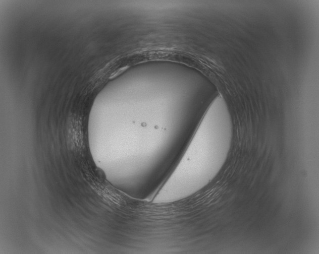 X0000054471252200507291038