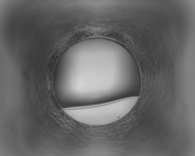 X0000054471253200507291038