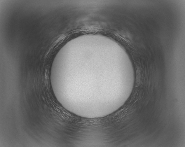 X0000054471254200507291038