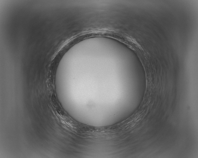 X0000054471256200507291038