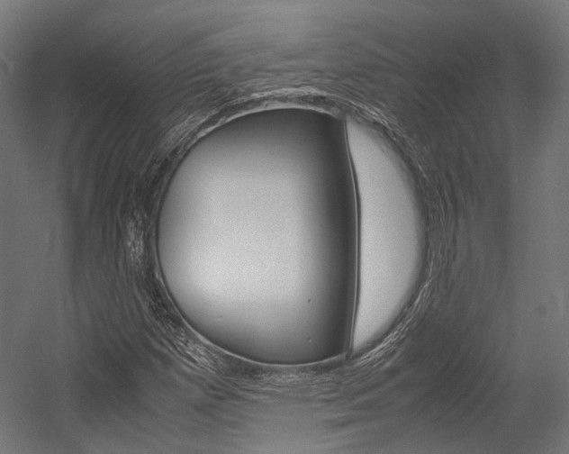X0000054471257200507291038