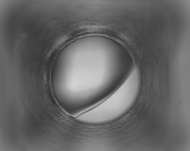 X0000054471261200507291038