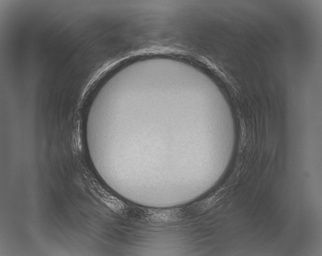 X0000054471262200507291038