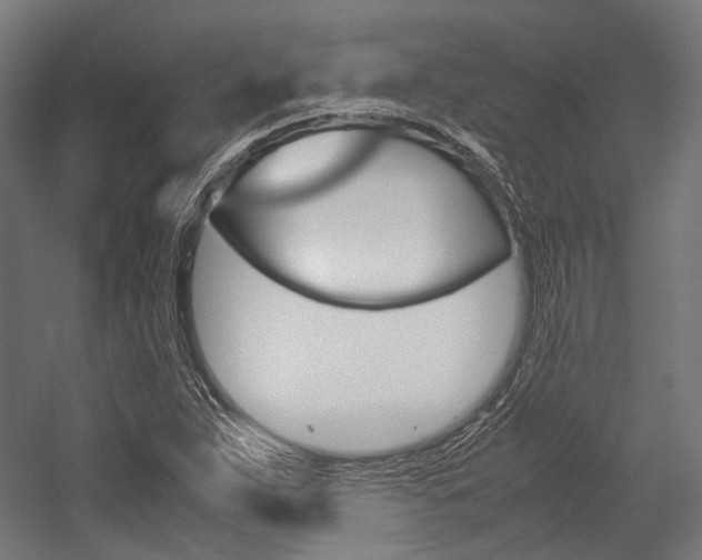 X0000054471263200507291038