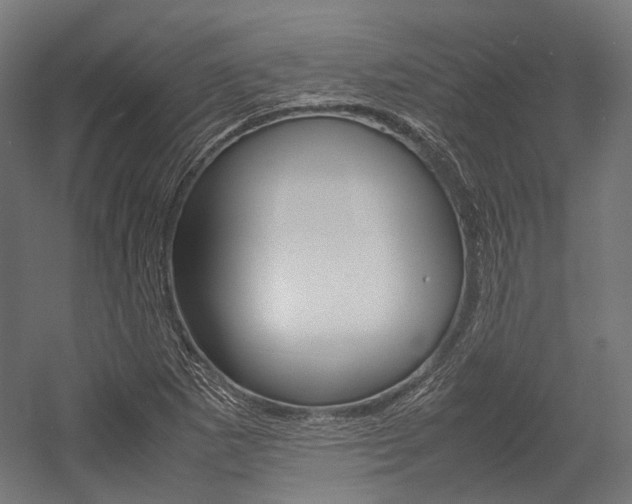 X0000054471265200507291038