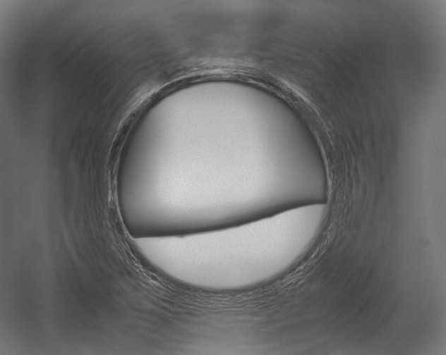 X0000054471267200507291038
