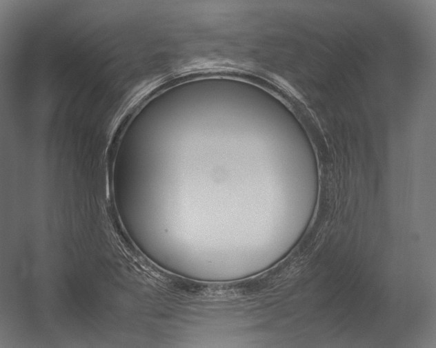 X0000054471269200507291038