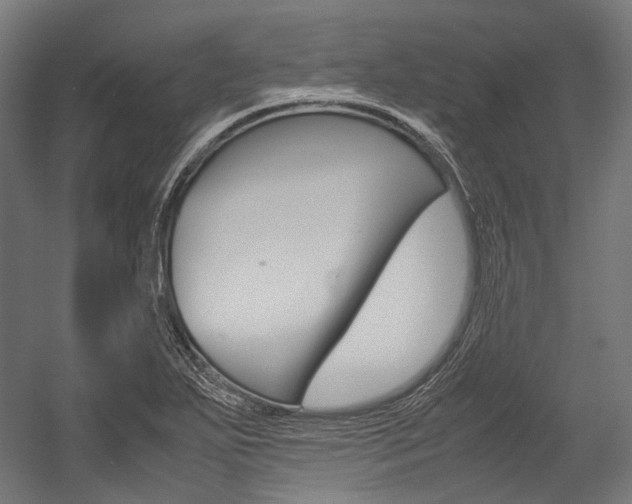 X0000054471271200507291038