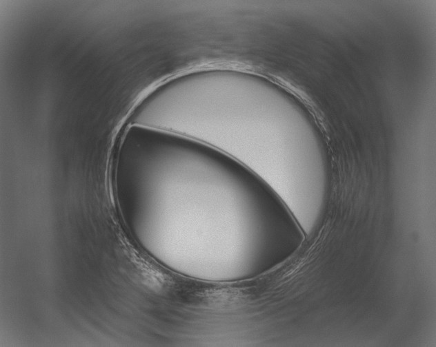X0000054471272200507291038
