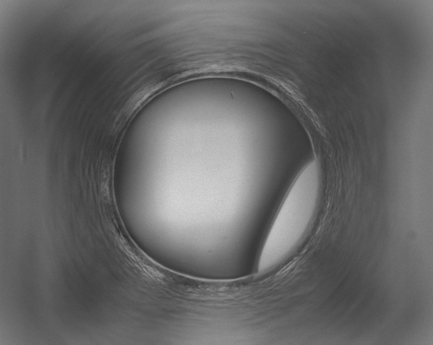 X0000054471273200507291038