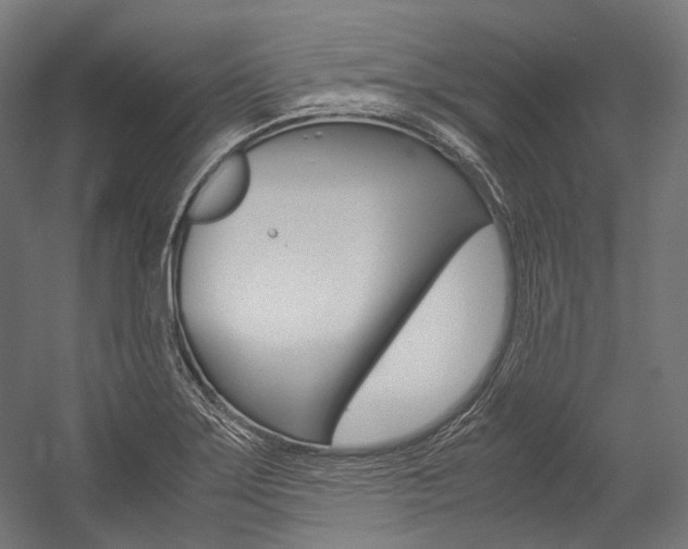X0000054471275200507291038