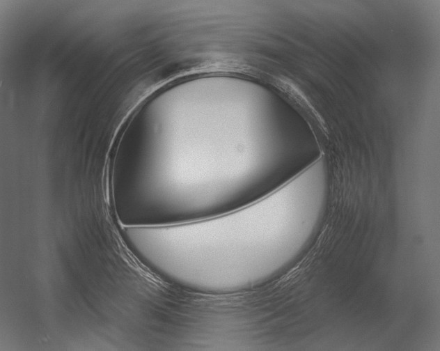 X0000054471276200507291038