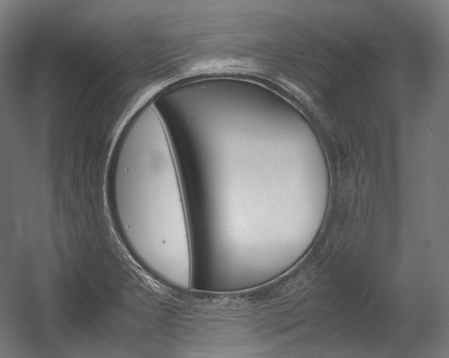 X0000054471277200507291038
