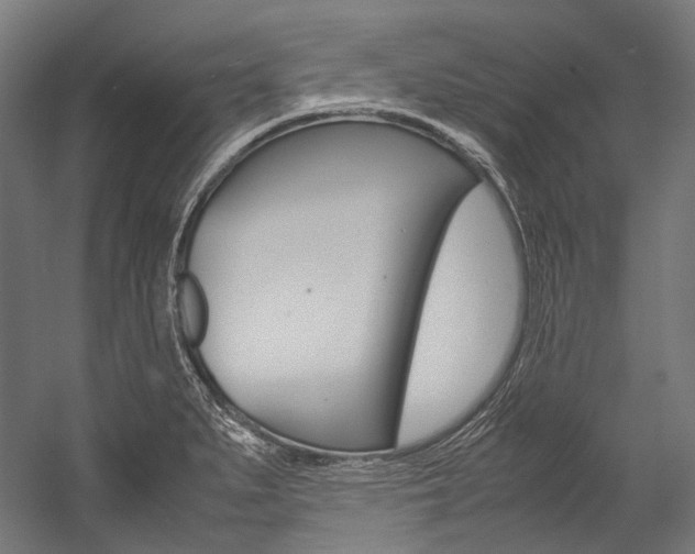 X0000054471279200507291038