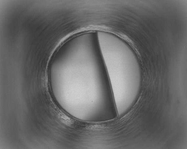 X0000054471280200507291038