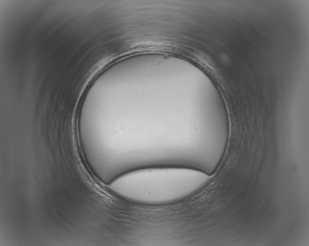 X0000054471283200507291038