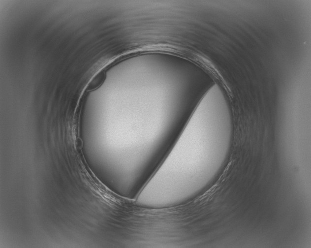 X0000054471284200507291038