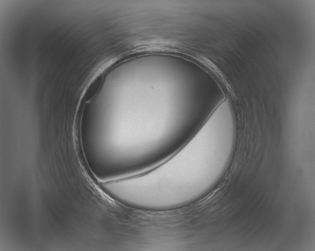 X0000054471285200507291038