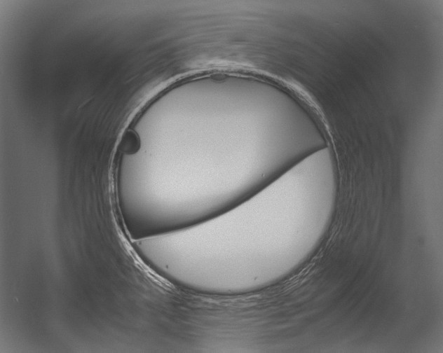 X0000054471287200507291038