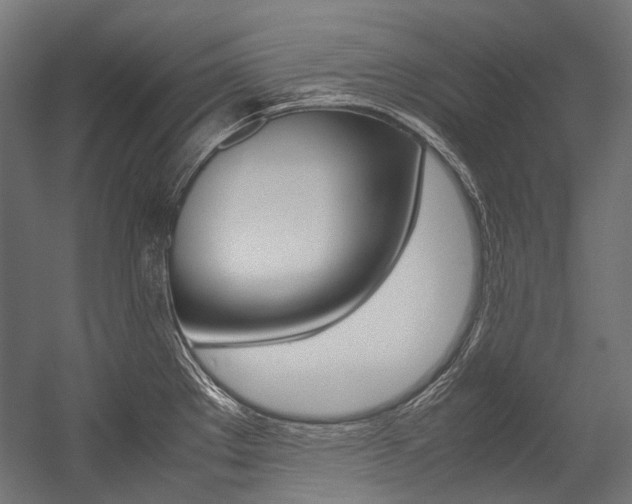 X0000054471289200507291038