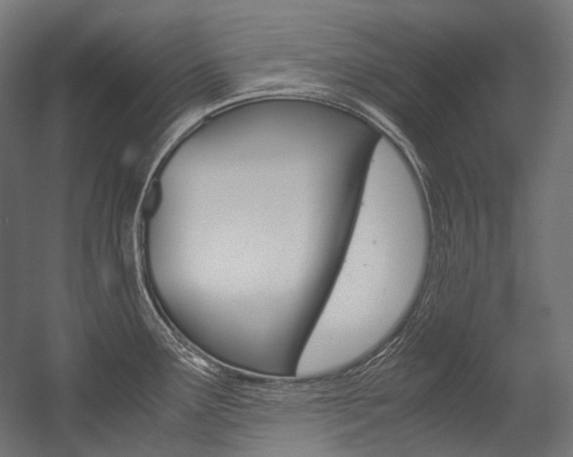 X0000054471291200507291038