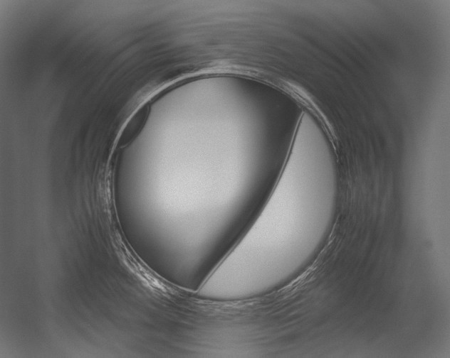X0000054471292200507291038