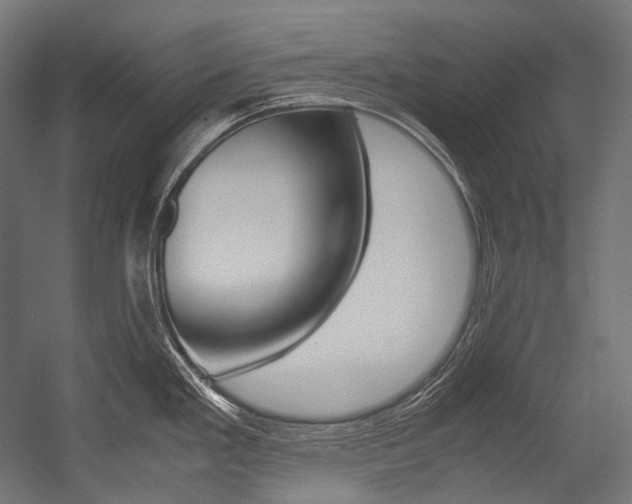 X0000054471293200507291037