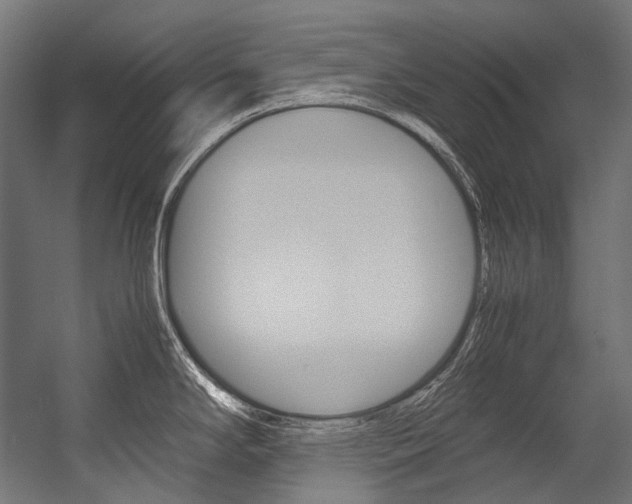 X0000054471294200507291037