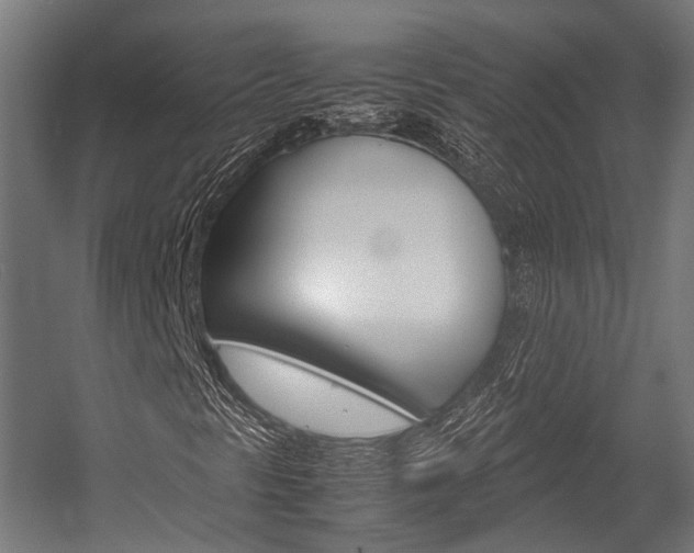 X0000054471297200507291037