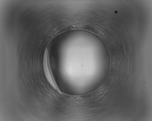 X0000054471298200507291037