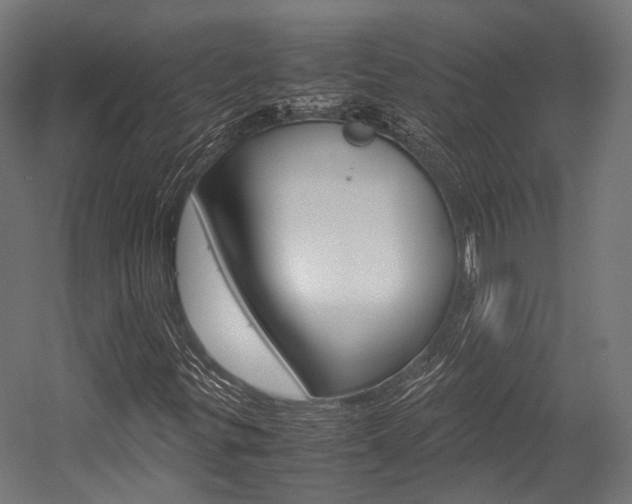X0000054471299200507291037