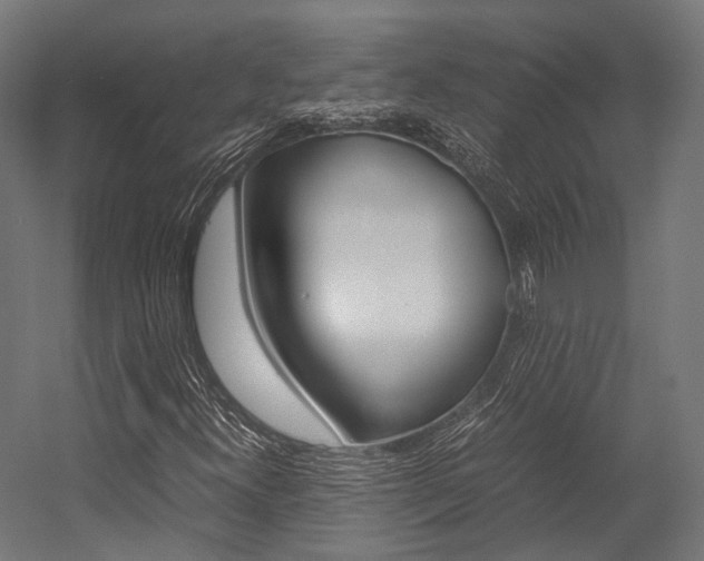 X0000054471300200507291037