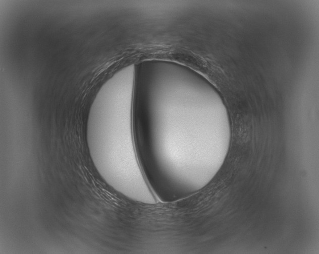 X0000054471301200507291037