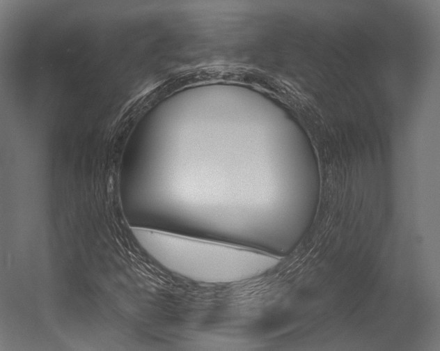 X0000054471302200507291037
