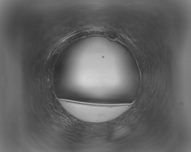 X0000054471303200507291037