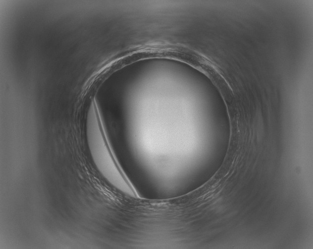 X0000054471304200507291037
