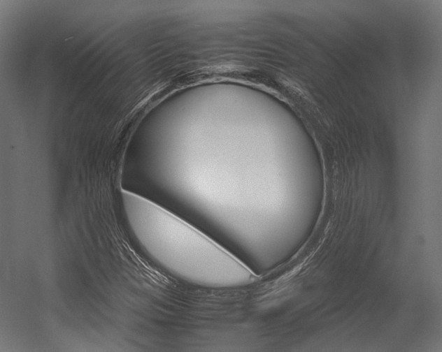 X0000054471305200507291037
