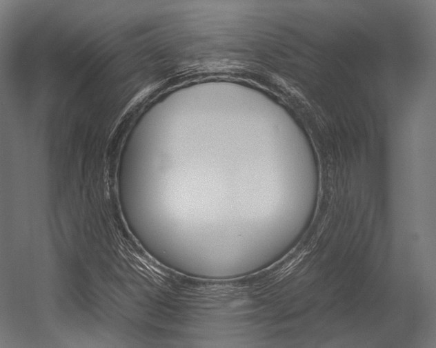 X0000054471306200507291037
